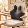 Contoured Memory Foam Back Support Cushion